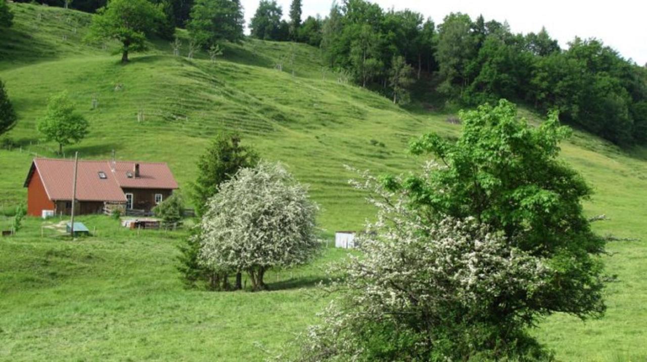 Kaufhold Ferienwohnung Immenstadt im Allgäu エクステリア 写真